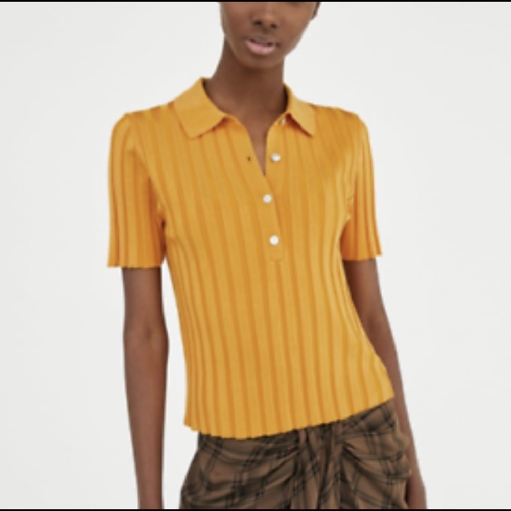 Zara Polo Top